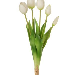 Bouquet Tulips 5pieces