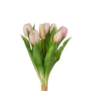 Bouquet Tulips 7pieces