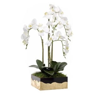 Orquídea 4 Caules Base Preto /Ouro