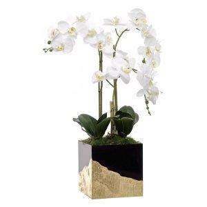Orquídea 3 Caules Base Preto /Ouro