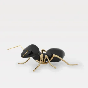 Formiga Preto brilhante com patinhas douradas