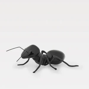 Formiga Preto brilhante com patinhas pretas